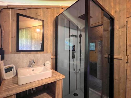 a bathroom with a sink and a shower at de Krekel in Hulshorst