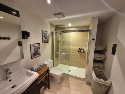 a bathroom with a shower and a toilet and a sink at Loft La Pause Orford in Magog-Orford