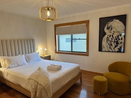 a bedroom with a bed and a chair and a window at Tarkine Retreat in Penguin