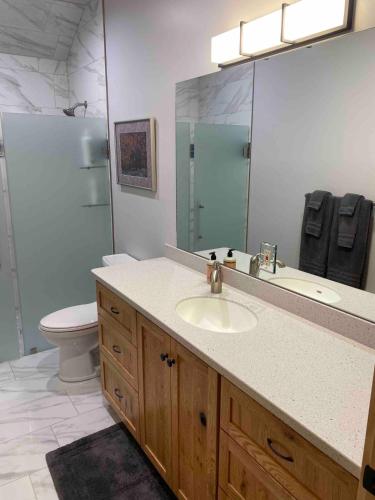 a bathroom with a sink and a toilet and a mirror at Clear Creek Cabins in Seward