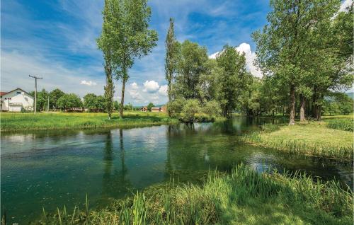 a river with trees on the side of it at Beautiful Home In Otocac in Otočac