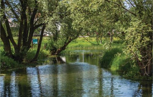 a river with trees on the side of it at Beautiful Home In Otocac in Otočac