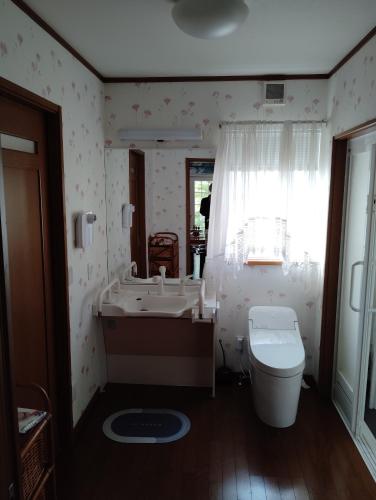 a bathroom with a sink and a toilet at シンデレラ城風 邸宅のゲストハウス民泊 in Tosa