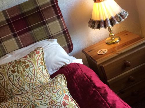 - un lit avec un oreiller et une lampe sur une table de nuit dans l'établissement The Bryntirion Inn, à Bala