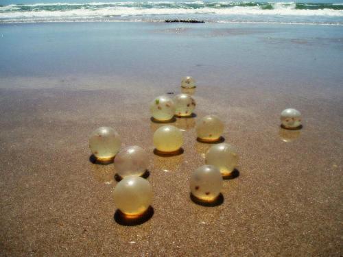 a group of marbles in the sand on the beach at cabopolonioalojamiento in Cabo Polonio