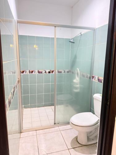 a bathroom with a shower and a toilet at Casa villa del mar 2 in Miramar