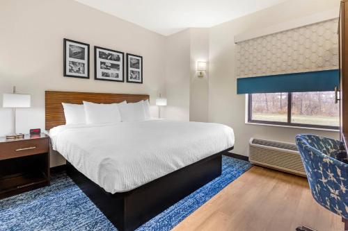 a bedroom with a bed and a desk and a window at Sleep Inn Greensboro Airport in Greensboro
