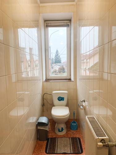 a bathroom with a toilet and a window at Apartments Domovik on Beregovskaya 3 in Mukacheve