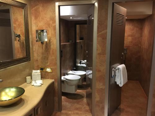 a bathroom with a toilet and a sink and a mirror at Radisson Blu Hotel MBD Ludhiana in Ludhiana