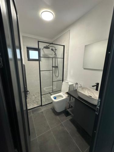 a bathroom with a shower and a toilet and a sink at Casa Montwis in Brezoi