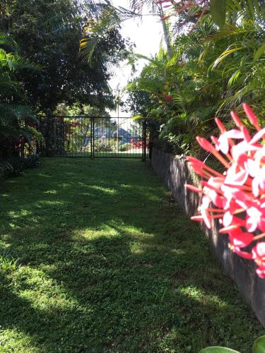 a fence with red and white candy canes on it at Casa Libertinn in Manuel Antonio