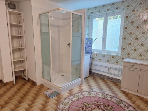 a bathroom with a shower and a rug at Le Jardin d'Elise - Maison 10 personnes avec jardin - proche centre ville in Brive-la-Gaillarde