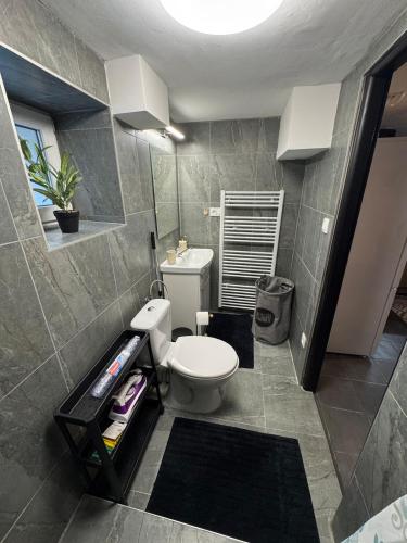 a bathroom with a white toilet in a room at Apartment MBD in Veľká Mača