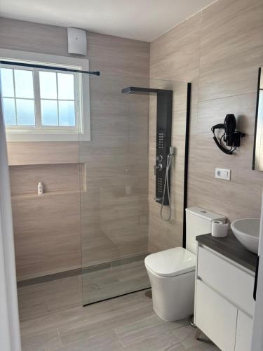 a bathroom with a shower and a toilet and a sink at La calma de Aisheric in Nigrán