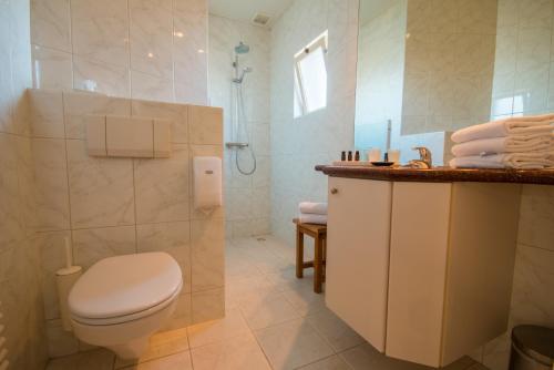 a bathroom with a toilet and a shower at Auberge de Campveerse Toren in Veere