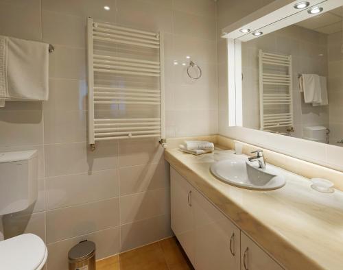 a bathroom with a sink and a toilet and a mirror at Pensiunea Floarea de Colt in Nucşoara