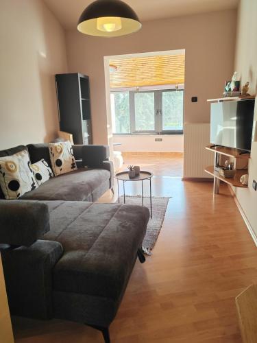 Apartment Roko Fazana
