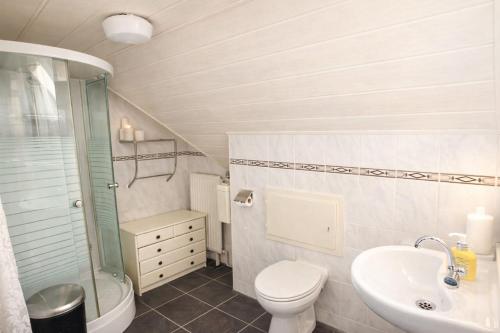 a bathroom with a toilet a sink and a shower at Das blaue Haus - Huize Hubertus in Sankt Andreasberg