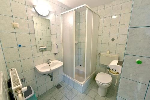uma casa de banho com um WC, um lavatório e um chuveiro em Apartments Kozjanski park em Podsreda