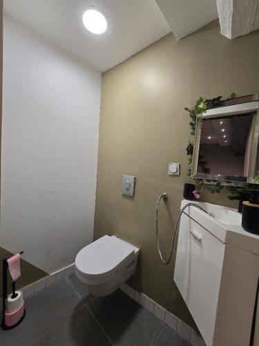a bathroom with a toilet and a sink at Petit studio fief in Le Fief-Sauvin