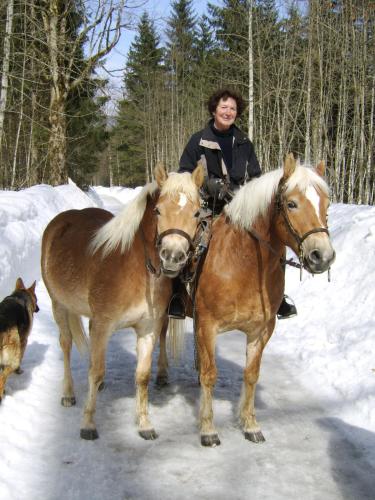 a woman sitting on a horse in the snow with a dog at Ferienwohnung Haus Rieder Inzell in Inzell