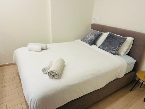 Brown Port 2 bedroom 2wc flat