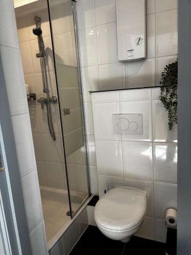 a bathroom with a toilet and a glass shower at Mosel-Cottage-Appartment in Briedern