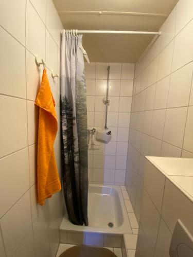 a bathroom with a shower and a bath tub at Wildhütte Schinderhannes in Schwarzerden