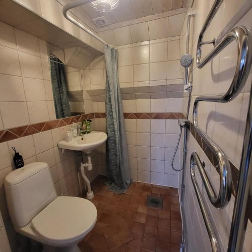 a bathroom with a toilet and a sink at Safety System Show Jumps in Enköping