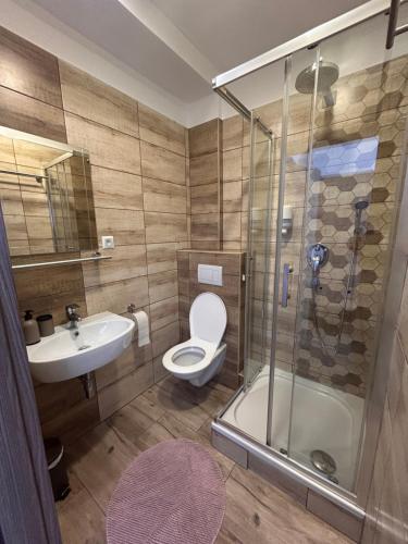 a bathroom with a shower and a toilet and a sink at Penzion Teplanka in Považská Bystrica