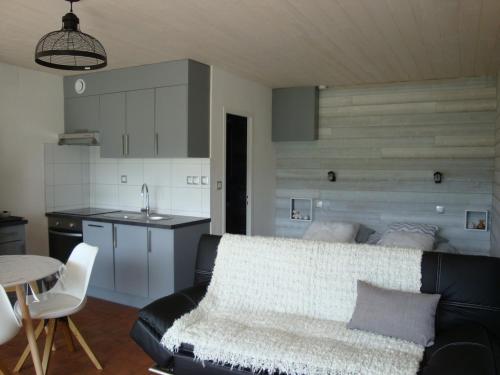 Les Epinettes Grand Studio Terrasse Loggia