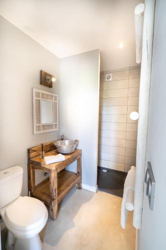 a bathroom with a sink and a toilet at Le refuge in Marsalès