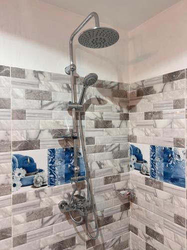 a shower in a bathroom with blue and white tiles at Hôtel YABISSO in Lomé