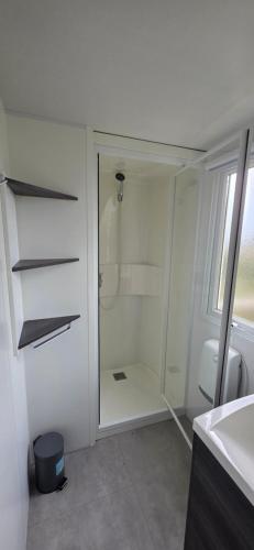 a white bathroom with a shower and a toilet at Le Pont Rouge & Les Vignes in Chipilly