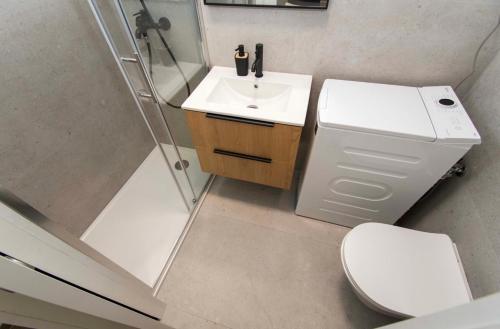 a bathroom with a toilet and a sink and a shower at Apartmani Antonela in Seline