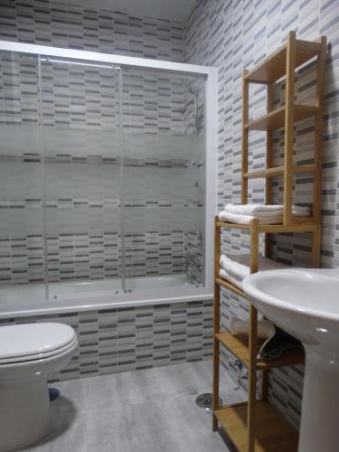 y baño con aseo, lavabo y ducha. en Málaga Apartamentos - Jinetes, 14, en Málaga