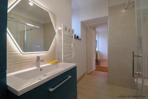 a bathroom with a sink and a mirror and a shower at Gîtes de france le cosy saint pierre in Sées