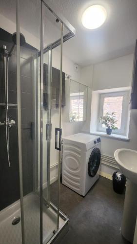a bathroom with a shower and a washing machine at Charmant logement hyper centre in Sélestat