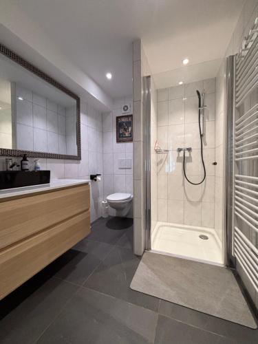 a bathroom with a shower and a toilet at Sacasa in Langenbruck