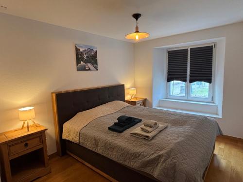a bedroom with a bed with two lamps and a window at Sacasa in Langenbruck