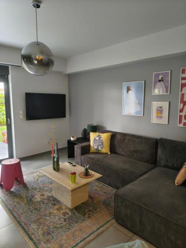 The elegant urban apartment