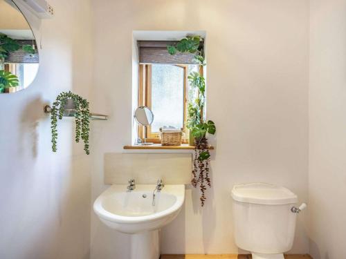 a bathroom with a toilet and a sink and a window at 1 Bed in Ludlow oc-chl23 in Orleton