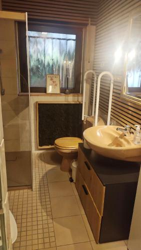 a bathroom with a sink and a toilet and a window at Bergblick in Zell an der Mosel