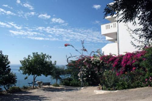 Gallery image of Oasis Studios in Rodakino