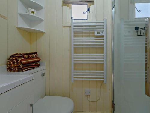 a small bathroom with a toilet and a shower at 1 Bed in Hereford oc-93440 in Little Dewchurch