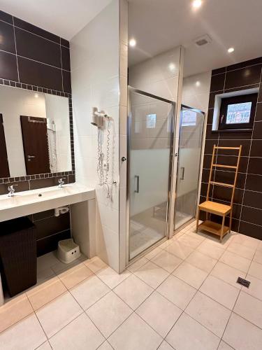 a bathroom with a shower and a sink and a ladder at Penzion Black Hole in Provodín