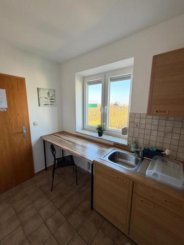 a kitchen with a sink and a window at Deichnest in Hollern-Twielenfleth