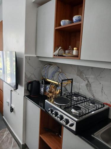 a kitchen with a stove and a white refrigerator at Cozy Studio Kiambu Town in Kiambu