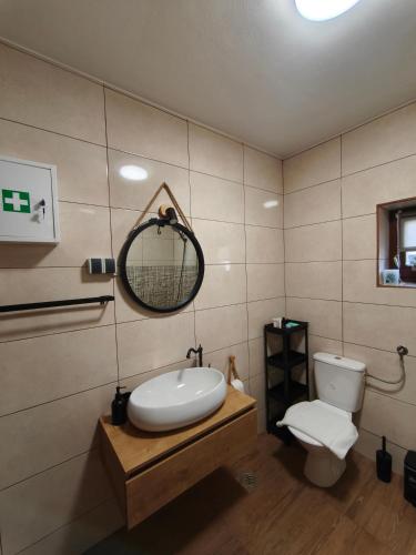 a bathroom with a toilet and a sink and a mirror at Apartman Turkalj in Rakovica