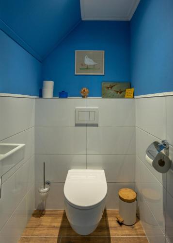 a bathroom with a toilet and a blue wall at Olle Hansenhaus in Hantumeruitburen